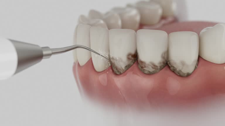 Reliable Dental contractor in Petaluma, CA by Dentist Open Now